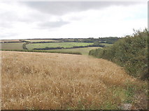 SW8770 : Fields of Penrose East Farm by David Hawgood