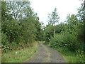 The lane to Thirlstane Gardens