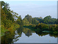 The River Waveney by Falcon Meadows