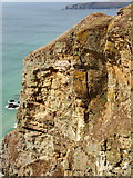 SW8468 : Cracked cliff near Bedruthan Steps by David Hawgood