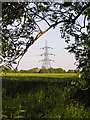 High Tension Pylon in Deepest Suffolk