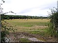 Cavancreagh Townland