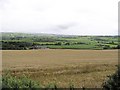 Cornfield at Cullion