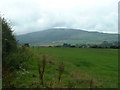 Looking towards Mynydd Rhiw