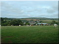 Tyn-y-Coed farm