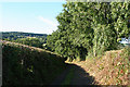 Yarcombe: track leading to the village