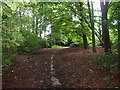 Footpath across Gernhill Wood, Fixby Estate