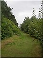 Path on the edge of Fixby Golf Course