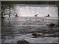 A group of kayakers at the bottom of the weir