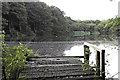 Llyn Bedydd Pool