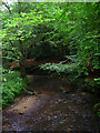 Costers Brook near Dunford House