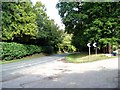 Road near Hophurst Farm