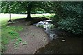 Stream near Tregolls