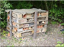 TQ1822 : Bug Mansion, West Grinstead Station by Janine Forbes