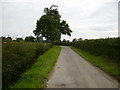 Country lane between Kirby Misperton and Ryton