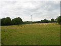 Pasture and Pylons