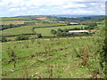 View from Torr Lane