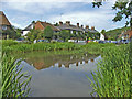 Village Pond at Aldbury, Hertfordshire