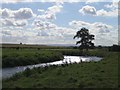 River Yeo