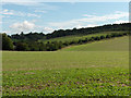 Farmland near Woolley