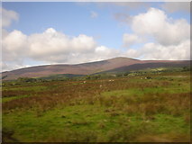O1710 : Djouce mountain in the Wicklow Mountains by Margaret Clough