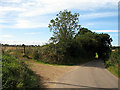 Bridleway and road near Westend Farm