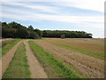 Farm track and Priest Wood