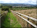 View from Milber Down