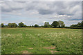 Farmland off Croft Road near Cosby, Leicestershire