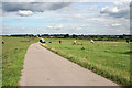 Farm road to Walton Lodge Farm, Sutton in the Elms