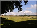 Meadow near Cherry Farm