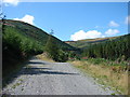 Junction of forestry roads at Moel Maes-y-wern-goch