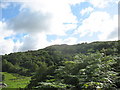 The Wooded Northern Slopes of Moel Smytho