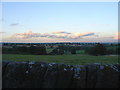 Fields near Hollington