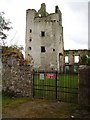 S3227 : Kilcash Castle by Richard Webb
