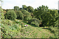 Membury: footpath near Lewsley Cross