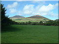 Farmland at Llwyndyrys