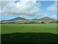 Farmland at Tyddyn Cestyll