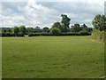 Fields and hedgerows