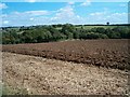 Ploughed field