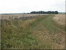 SP1107 : Fields and woods, near Bibury by Katy Walters