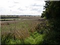 Patchwork of Fields - Harvested and Otherwise