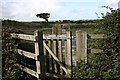 Kissing Gate to Cross the Road