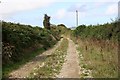 Footpath and Farm Track