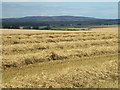 Farmland near Hillhead of Cocklaw