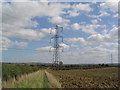 SP7594 : Pylons east of Langton Caudle by Tim Heaton