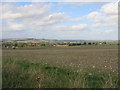 View towards Shipton under Wychwood