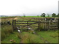 Southern Upland Way at Sanquhar Moor