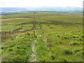 Southern Upland Way on Coupland Knowe