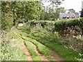 Bridleway into Chapel Brampton